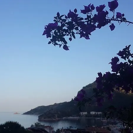 Kavala 2*